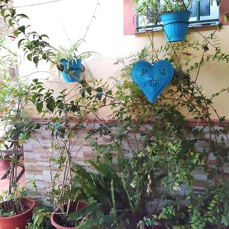 Apartament Cool Garden