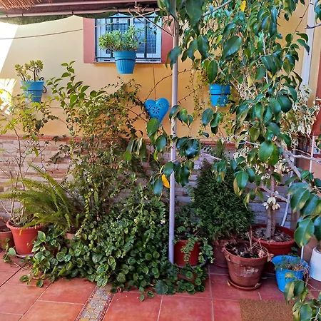 Cool Garden Appartement