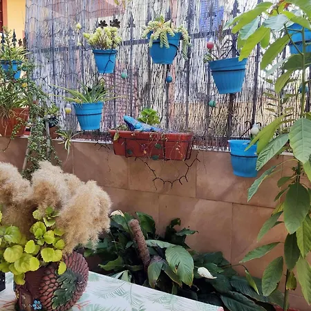 Cool Garden * Mairena del Aljarafe