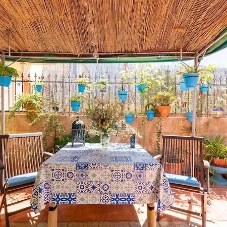 Cool Garden Mairena del Aljarafe